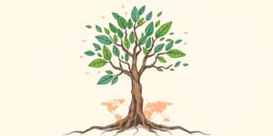 ETF Portfolio Strategies: Building Diversified Wealth